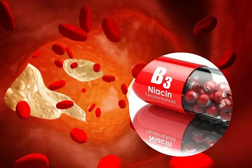 Sử dụng vitamin B3 – Niacin giảm mỡ máu và rủi ro cần lưu ý